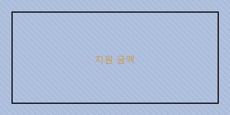 지원 금액 이미지