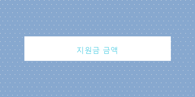 지원금 금액 이미지