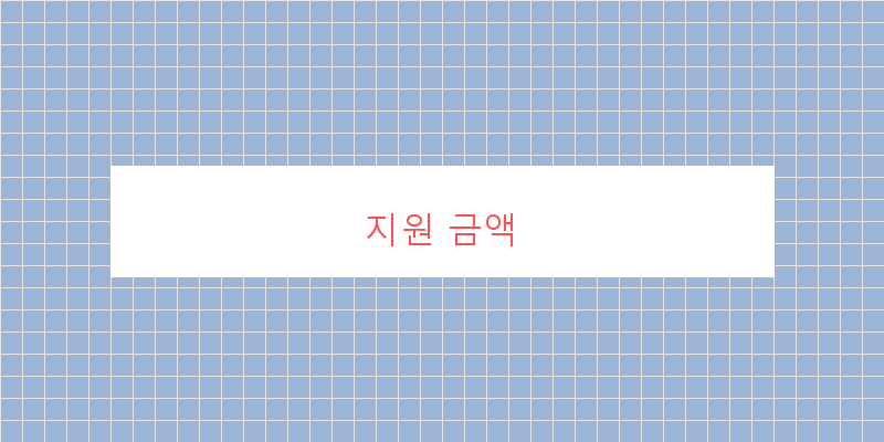 지원 금액 이미지