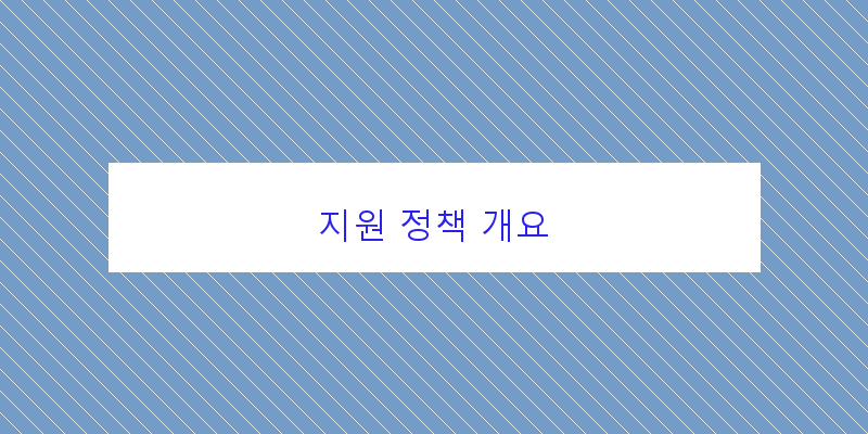 지원 정책 개요 이미지