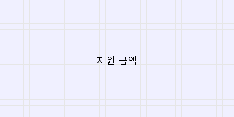 지원 금액 이미지