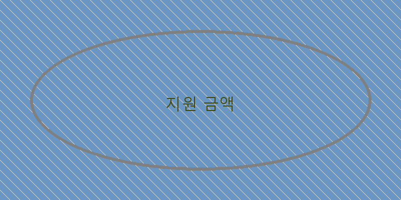지원 금액 이미지