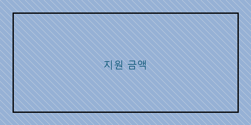지원 금액 이미지