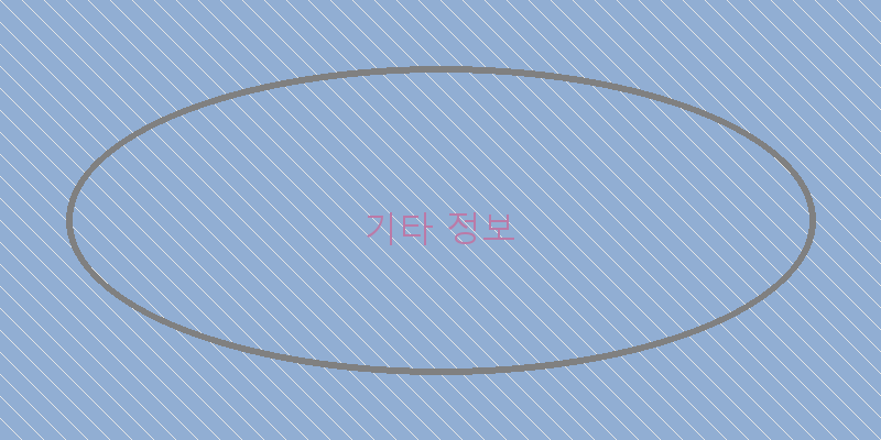 기타 정보 이미지