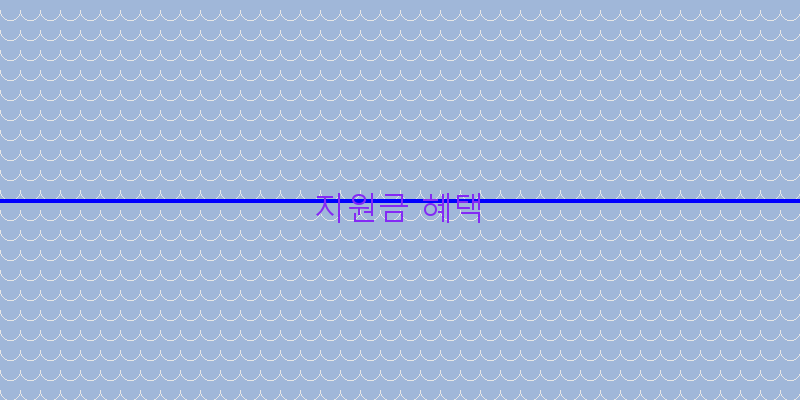 지원금 혜택 이미지