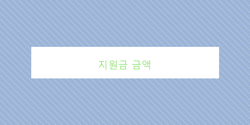 지원금 금액 이미지