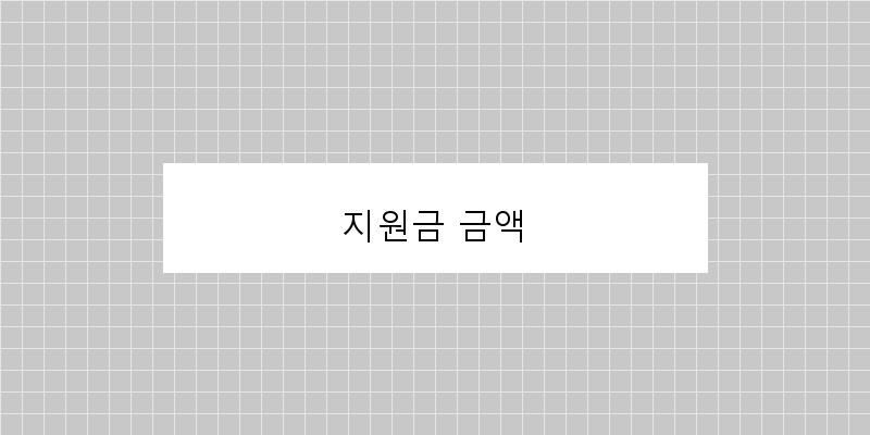 지원금 금액 이미지