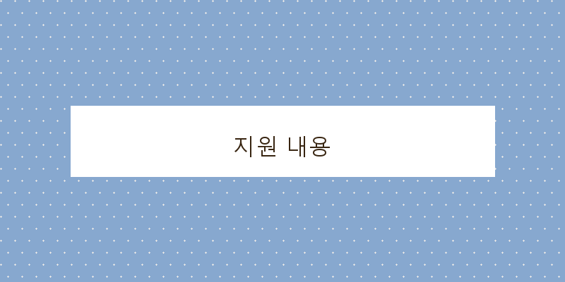 지원 내용 이미지