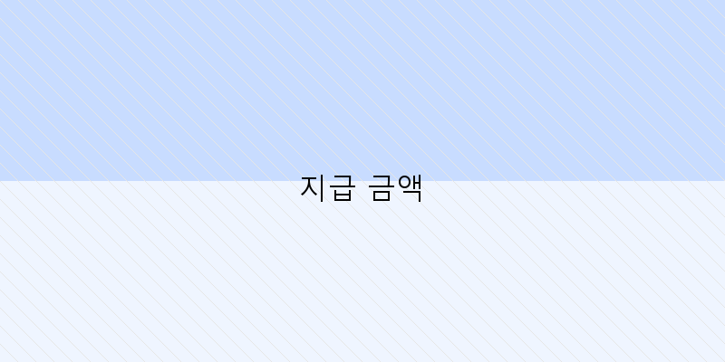 지급 금액 이미지