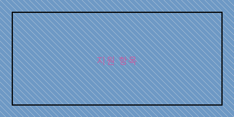 지원 항목 이미지