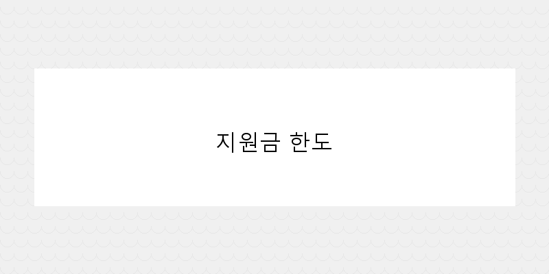 지원금 한도 이미지