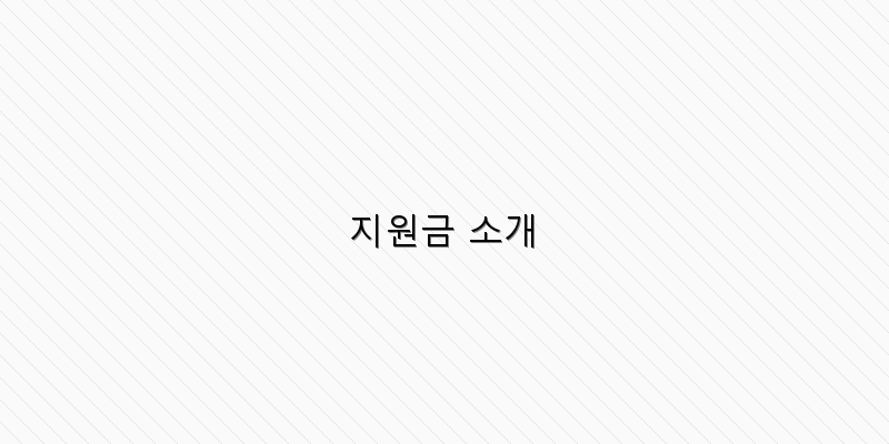 지원금 소개 이미지