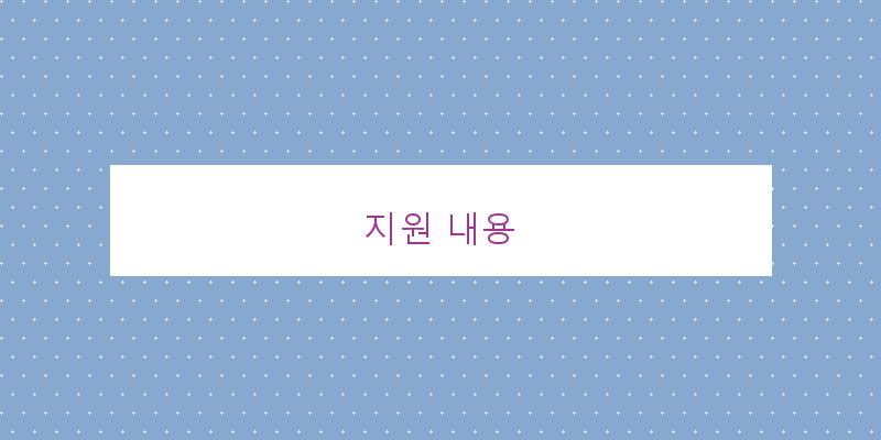 지원 내용 이미지