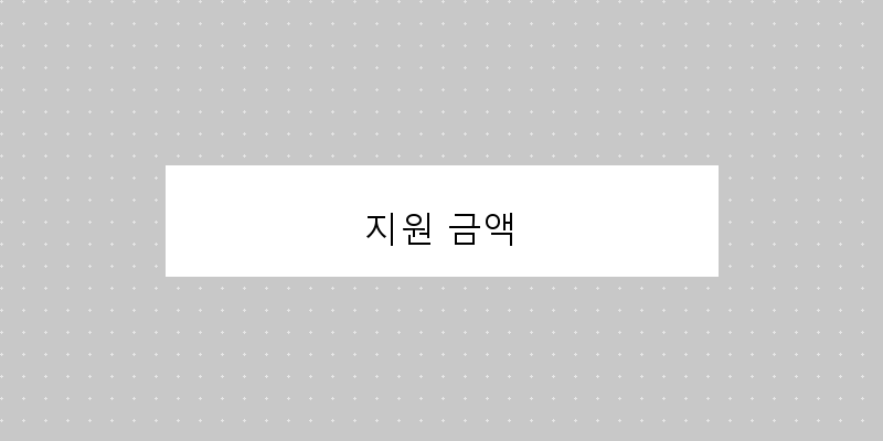 지원 금액 이미지