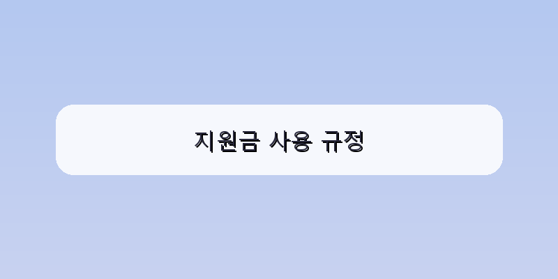지원금 사용 규정 이미지