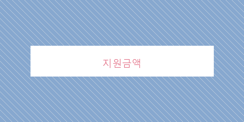 지원금액 이미지