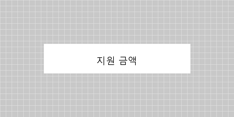 지원 금액 이미지
