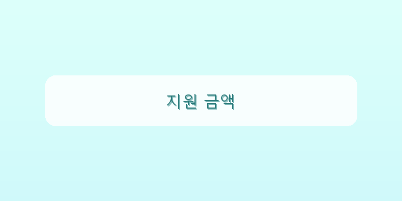 지원 금액 이미지