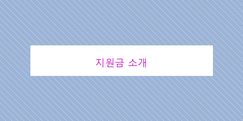 지원금 소개 이미지