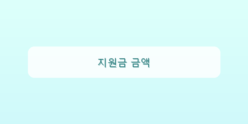 지원금 금액 이미지