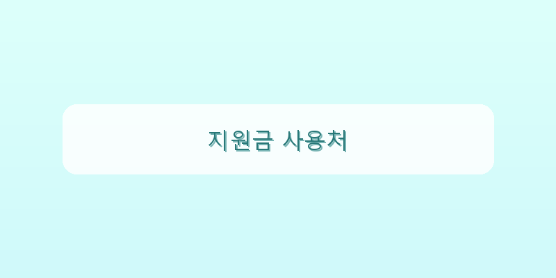 지원금 사용처 이미지