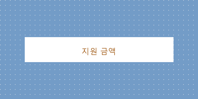 지원 금액 이미지