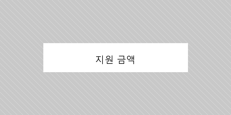 지원 금액 이미지