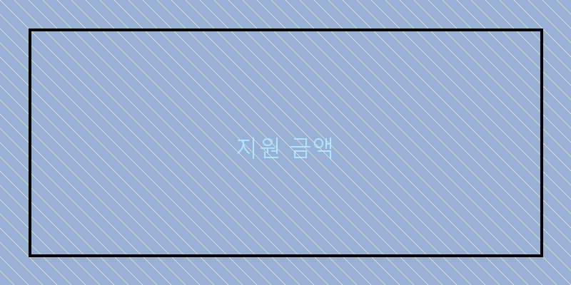 지원 금액 이미지