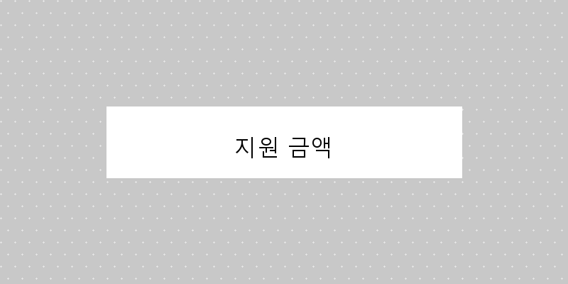 지원 금액 이미지