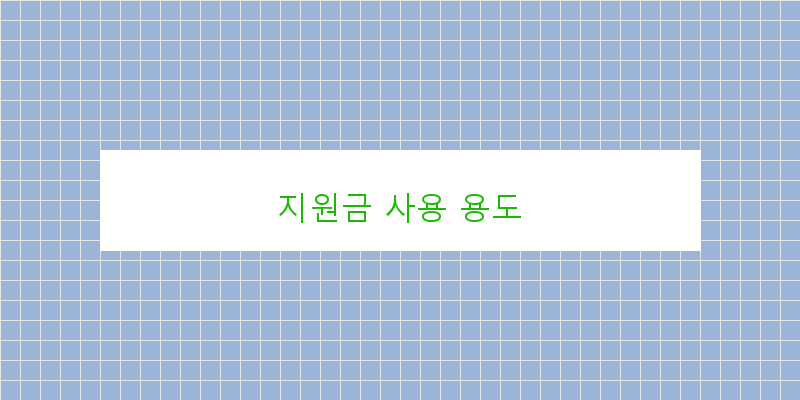 지원금 사용 용도 이미지