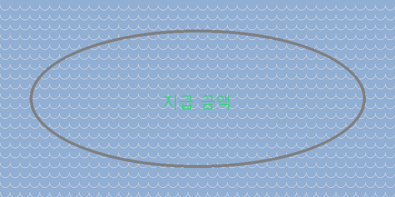 지급 금액 이미지