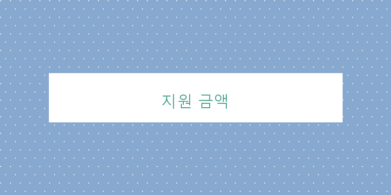 지원 금액 이미지